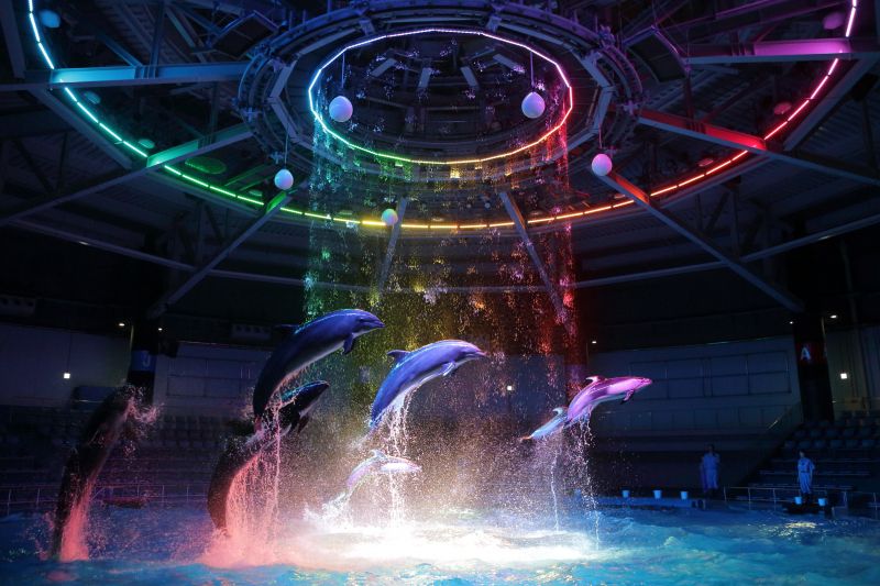 thủy cung Maxell Aqua Park thủy cung Maxell Aqua Park